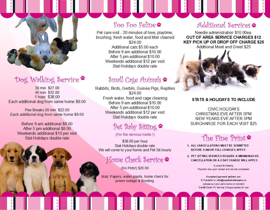 View the 2026 Spoiled Rotten Pet Services pricing brochure